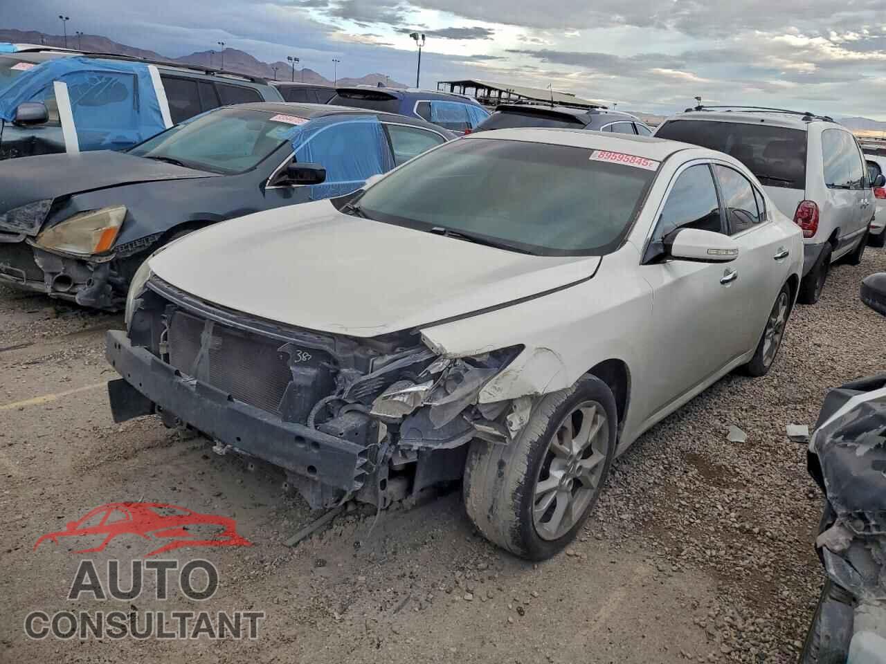NISSAN MAXIMA 2013 - 1N4AA5AP7DC828258
