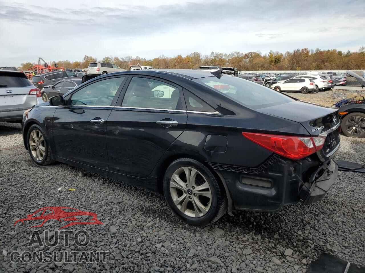 HYUNDAI SONATA 2013 - 5NPEC4AC2DH614165
