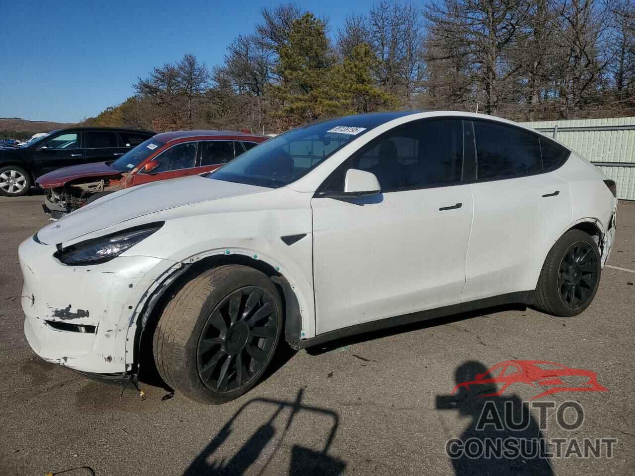 TESLA MODEL Y 2022 - 7SAYGDEE9NF425688