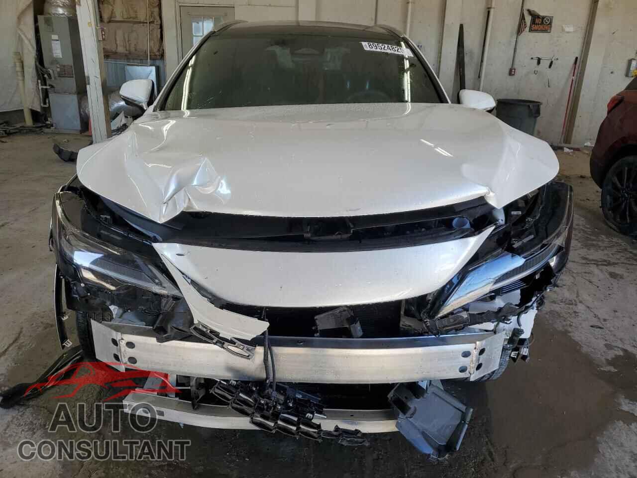 LEXUS RX350 2024 - 2T2BAMCA4RC077339