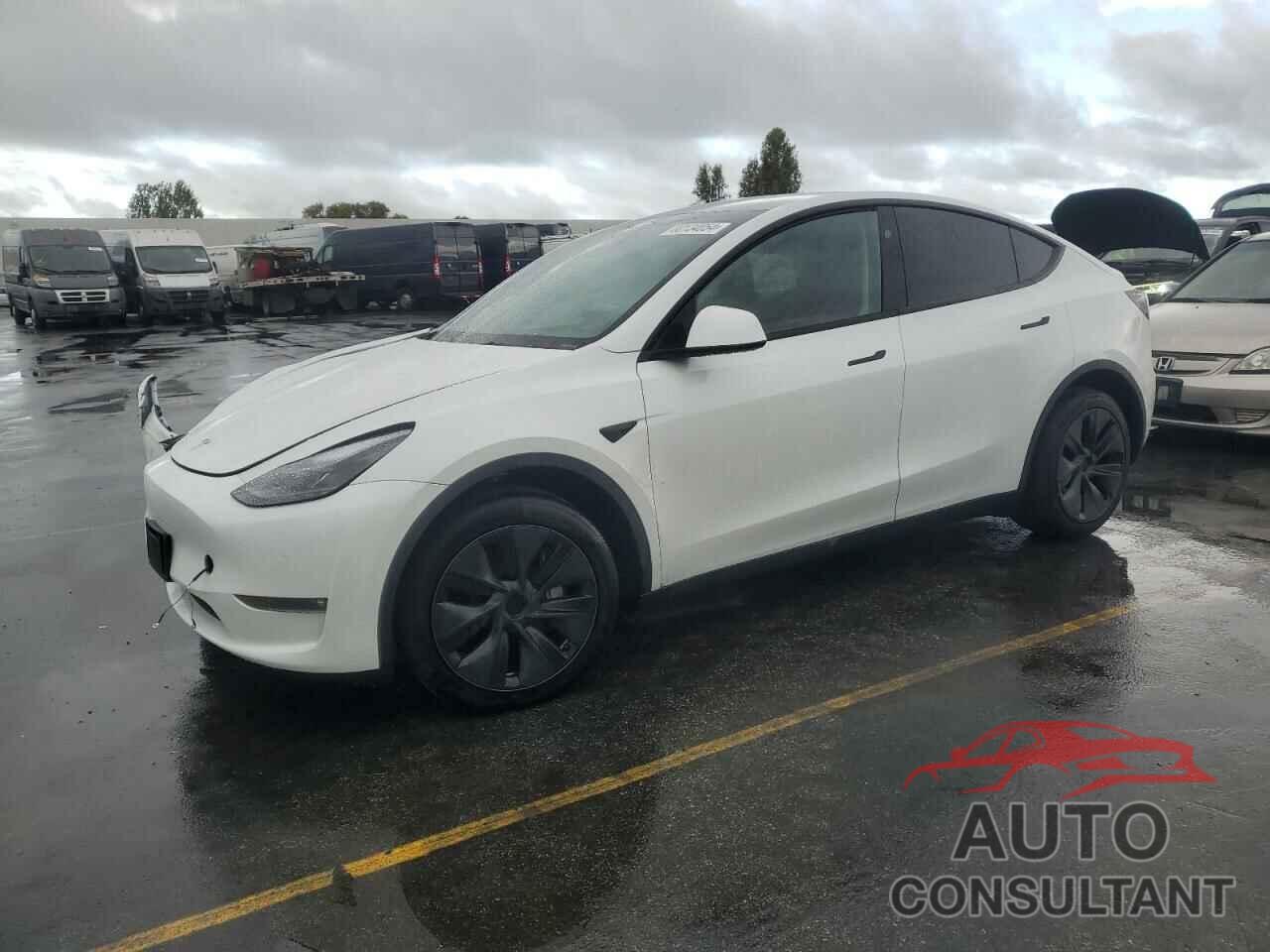 TESLA MODEL Y 2024 - 7SAYGAEE3RF127934