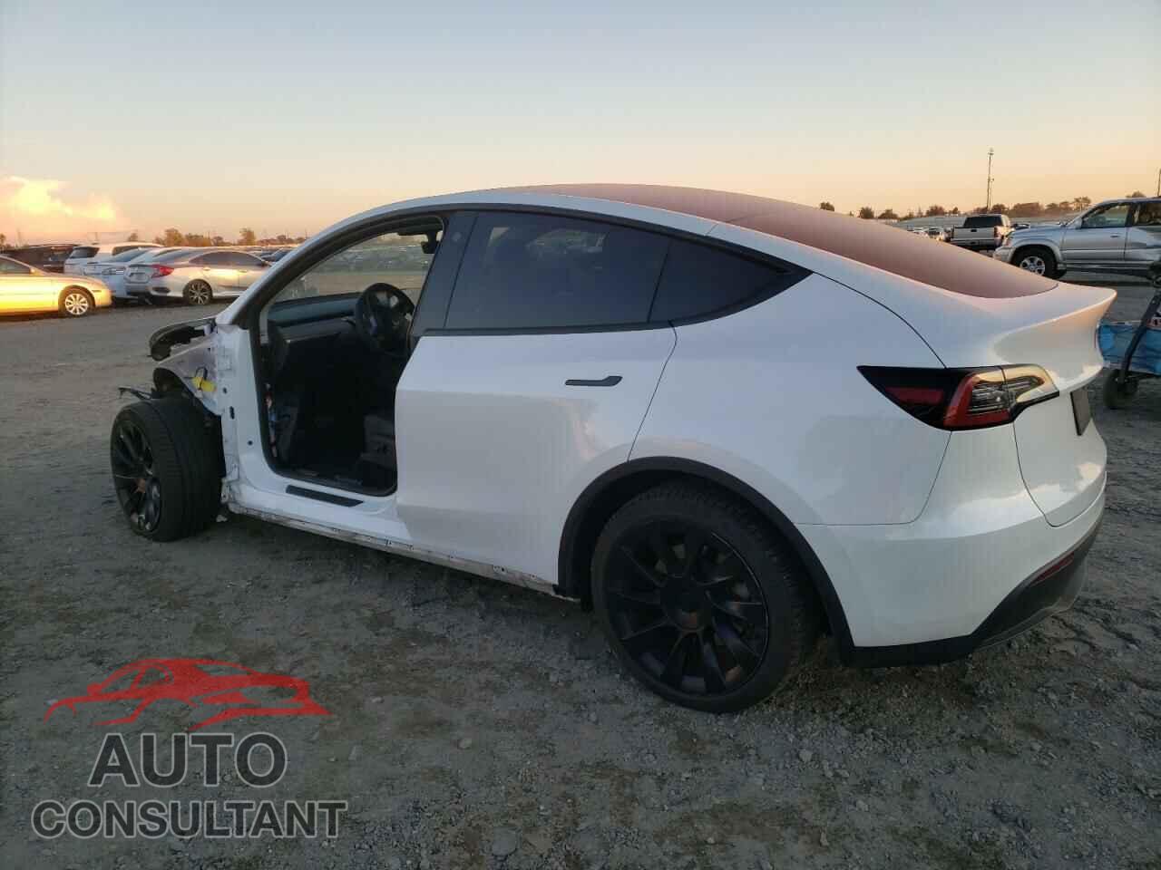 TESLA MODEL Y 2023 - 7SAYGDEE0PF692298