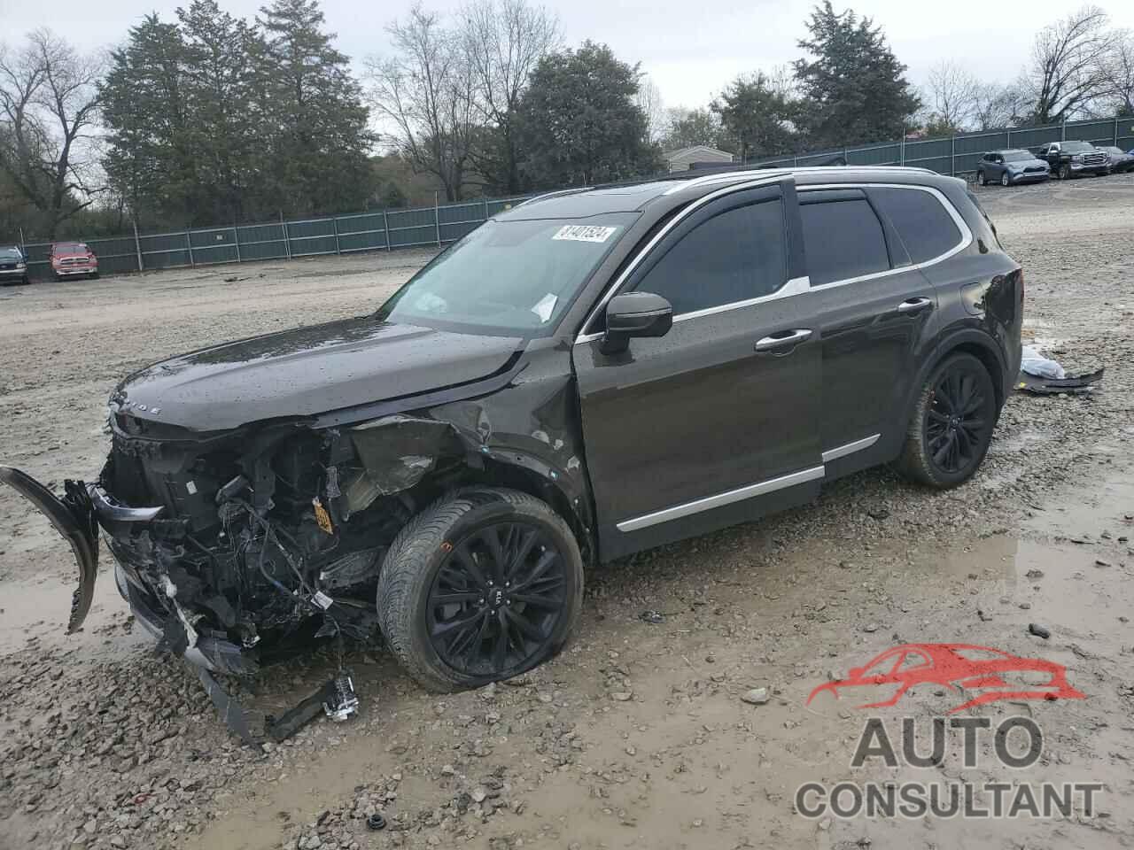 KIA TELLURIDE 2021 - 5XYP54HC5MG151373