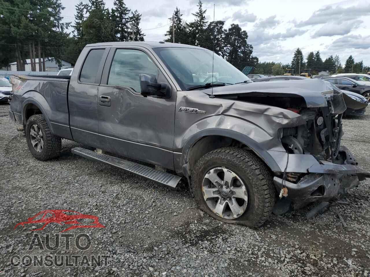 FORD F-150 2013 - 1FTFX1EF9DFA70415
