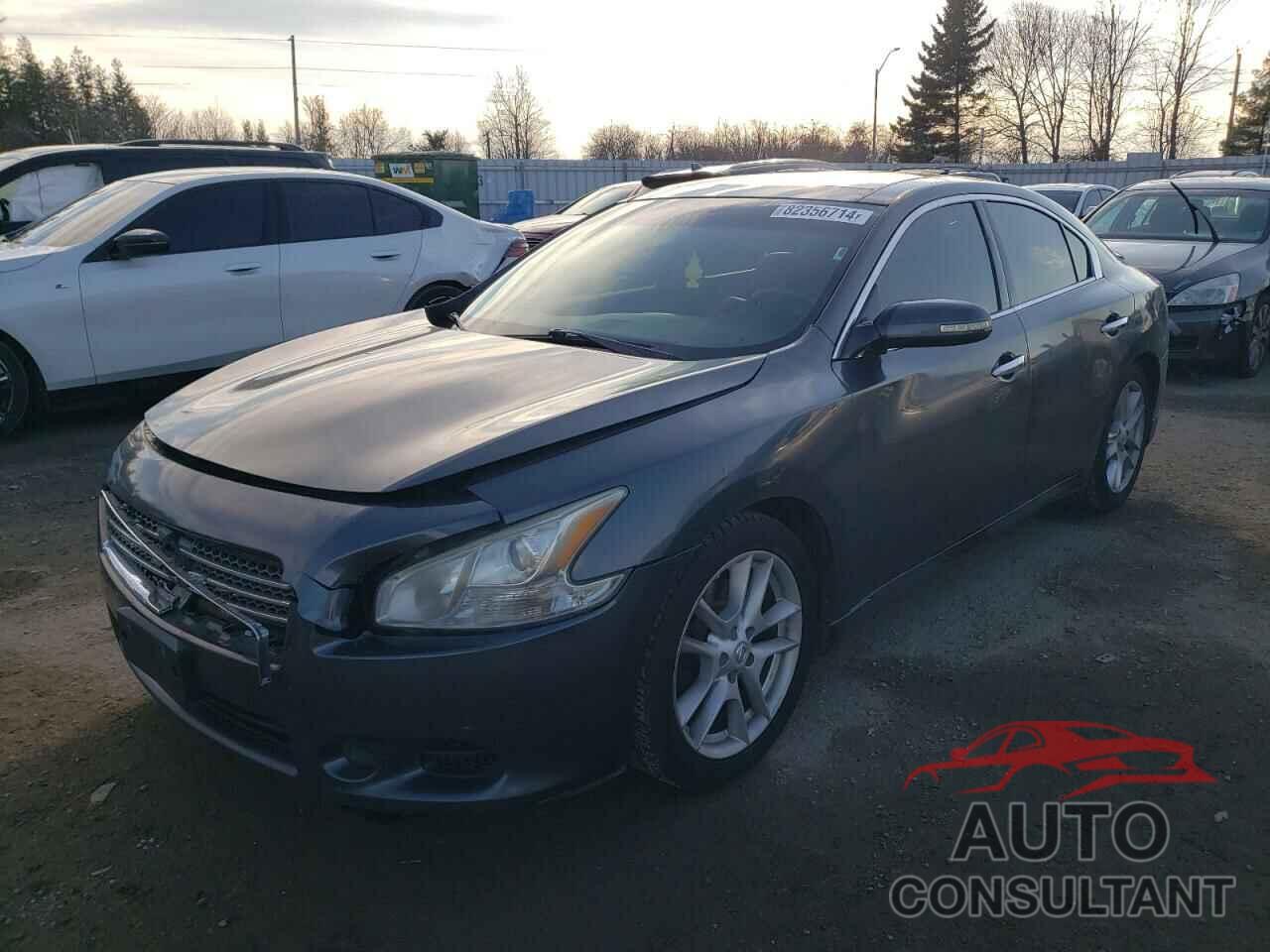 NISSAN MAXIMA 2009 - 1N4AA51EX9C835159