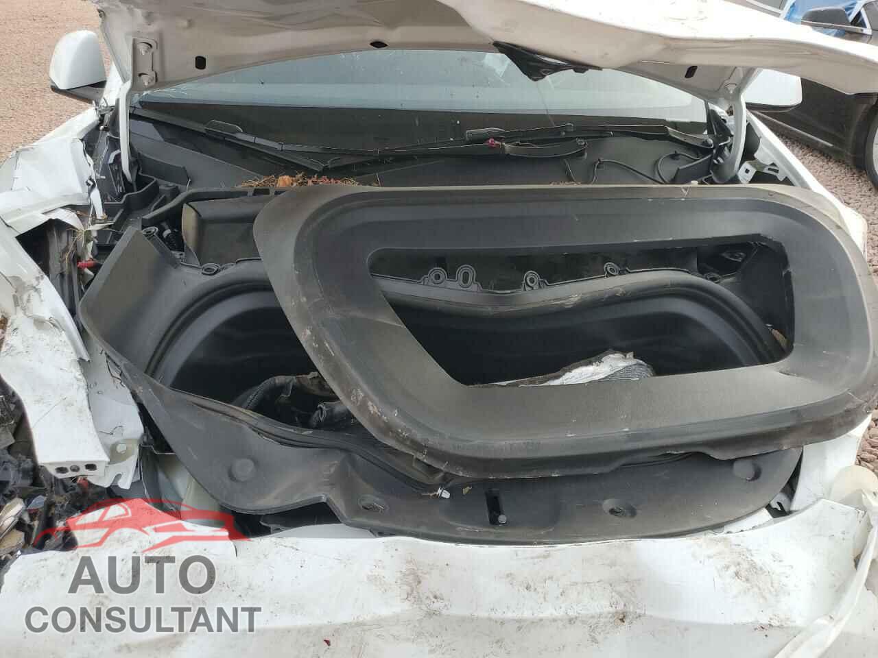 TESLA MODEL Y 2024 - 7SAYGDEE3RA291800