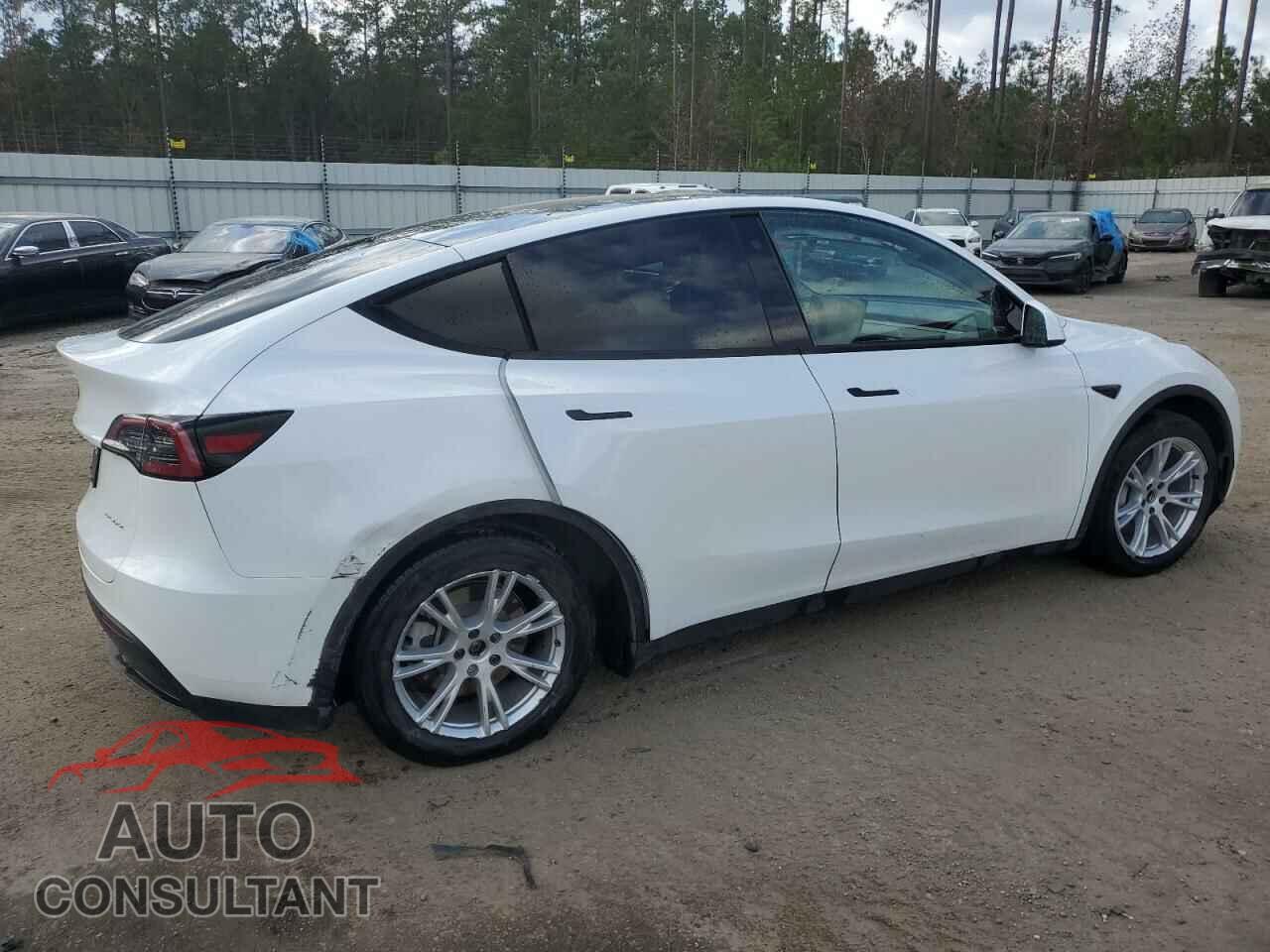 TESLA MODEL Y 2023 - 7SAYGAEE2PF607427