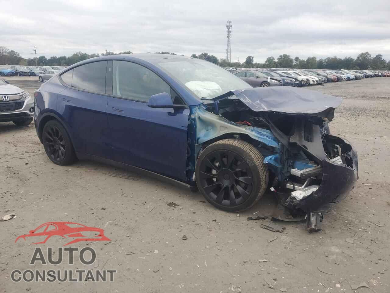 TESLA MODEL Y 2024 - 7SAYGDEE5RF154456