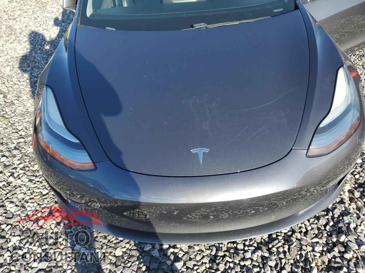 TESLA MODEL 3 2019 - 5YJ3E1EB4KF389499