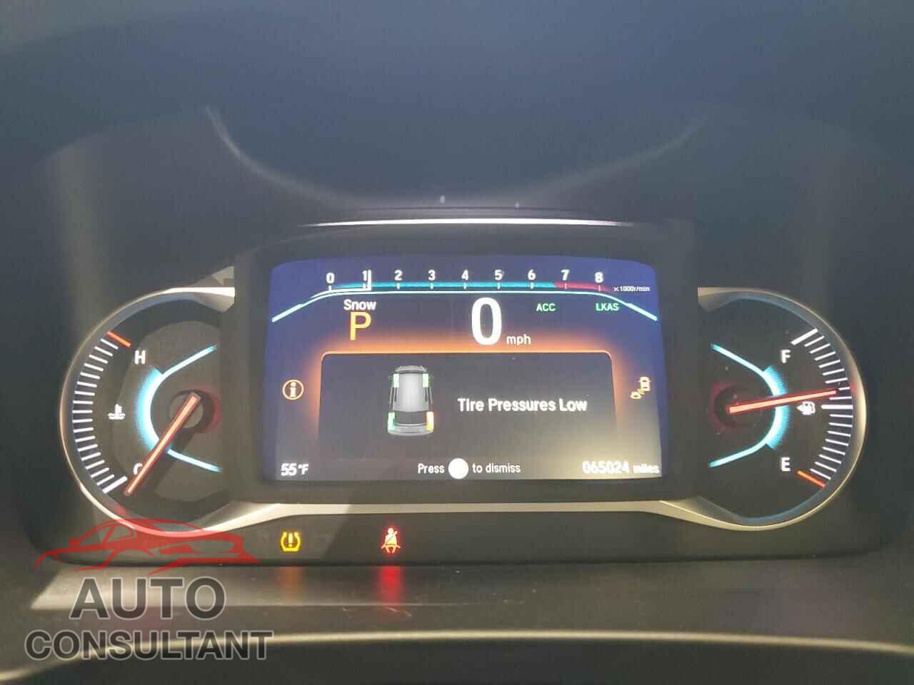 HONDA PILOT 2020 - 5FNYF6H01LB043809