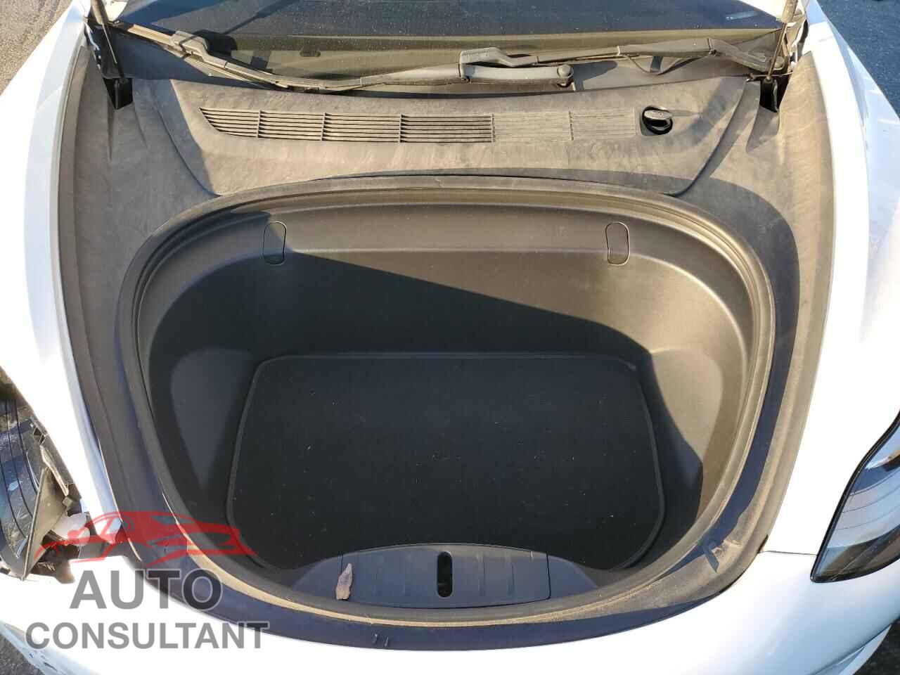 TESLA MODEL 3 2019 - 5YJ3E1EA9KF345067