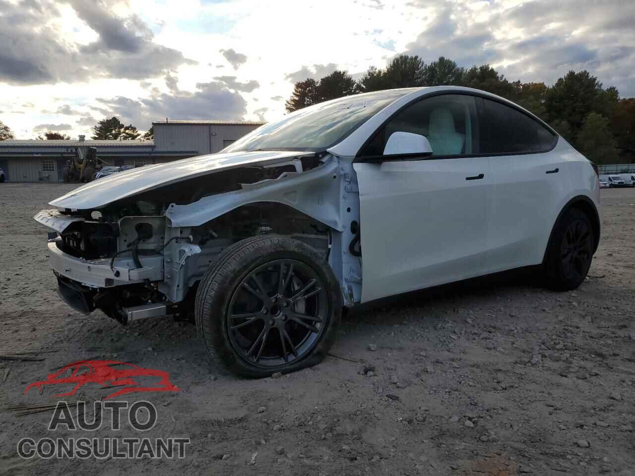 TESLA MODEL Y 2025 - 7SAYGDED6SF319251