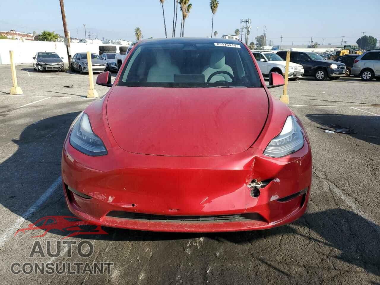 TESLA MODEL Y 2021 - 5YJYGDED7MF181395