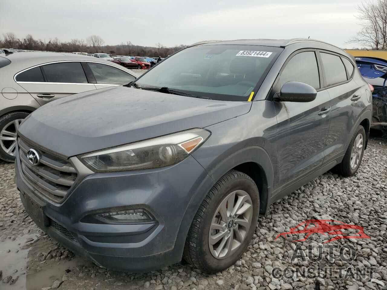 HYUNDAI TUCSON 2016 - KM8J33A42GU179364