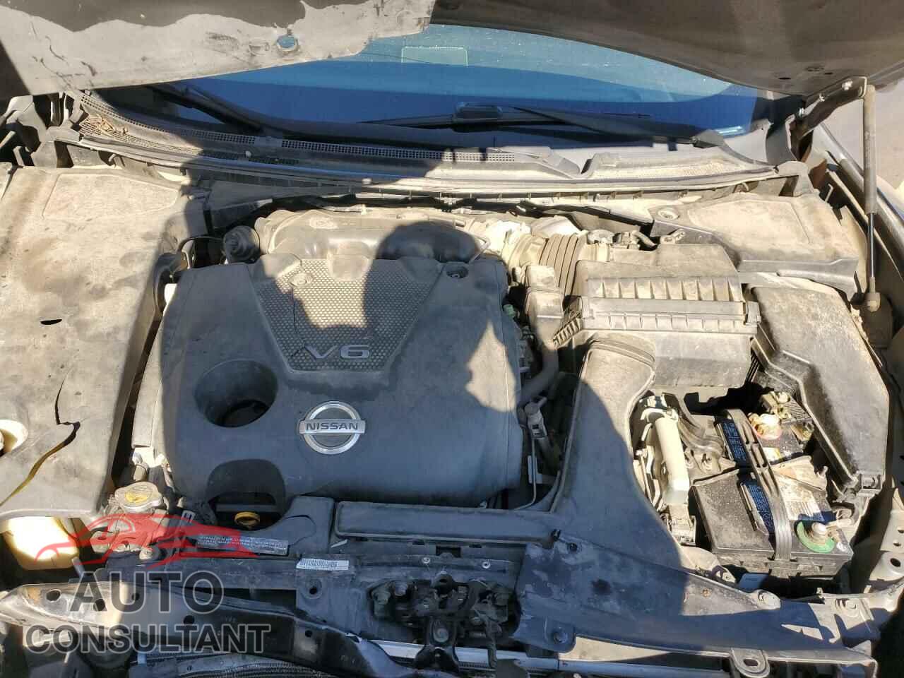 NISSAN MAXIMA 2009 - 1N4AA51E29C835866