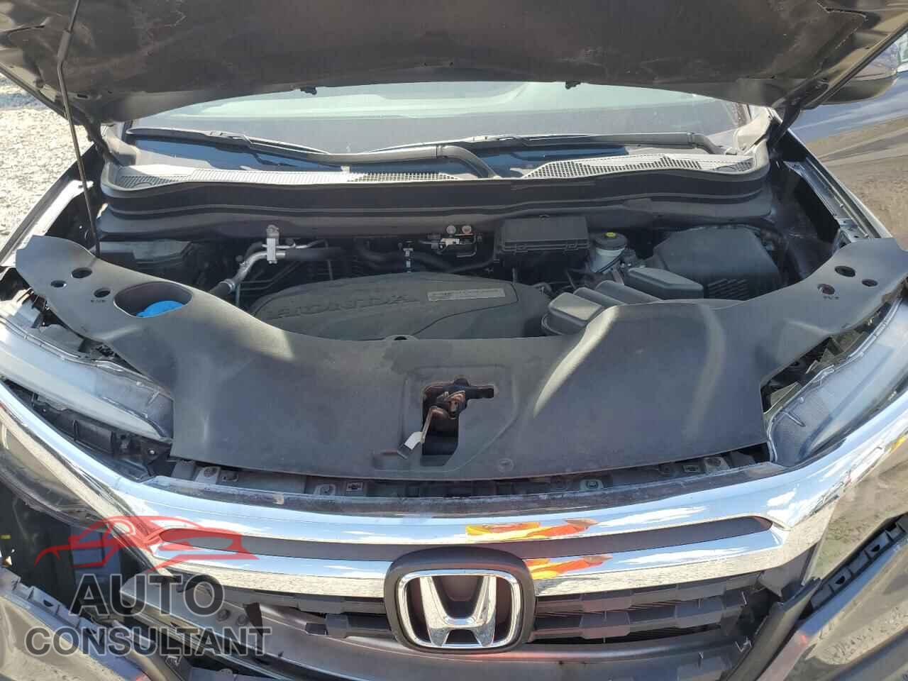 HONDA RIDGELINE 2019 - 5FPYK2F53KB003174