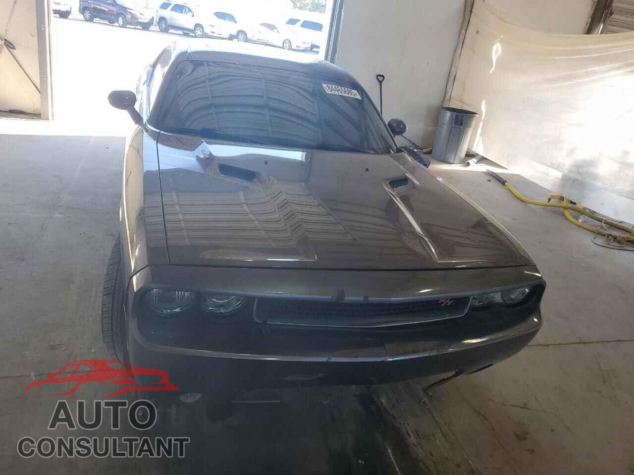 DODGE CHALLENGER 2014 - 2C3CDYBT9EH302210