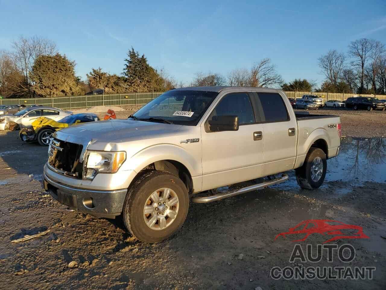 FORD F-150 2010 - 1FTFW1EV3AFD38736