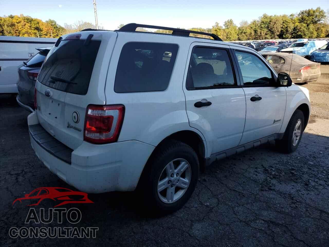 FORD ESCAPE 2011 - 1FMCU5K30BKB48836