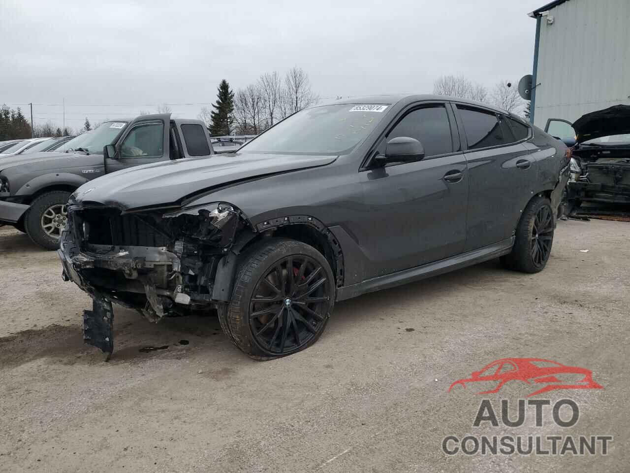 BMW X6 2024 - 5UX33EX01R9T50154