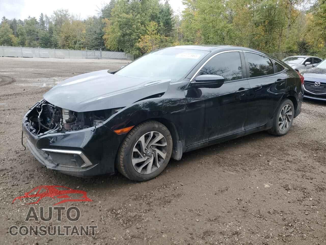 HONDA CIVIC 2019 - 2HGFC2F77KH003284