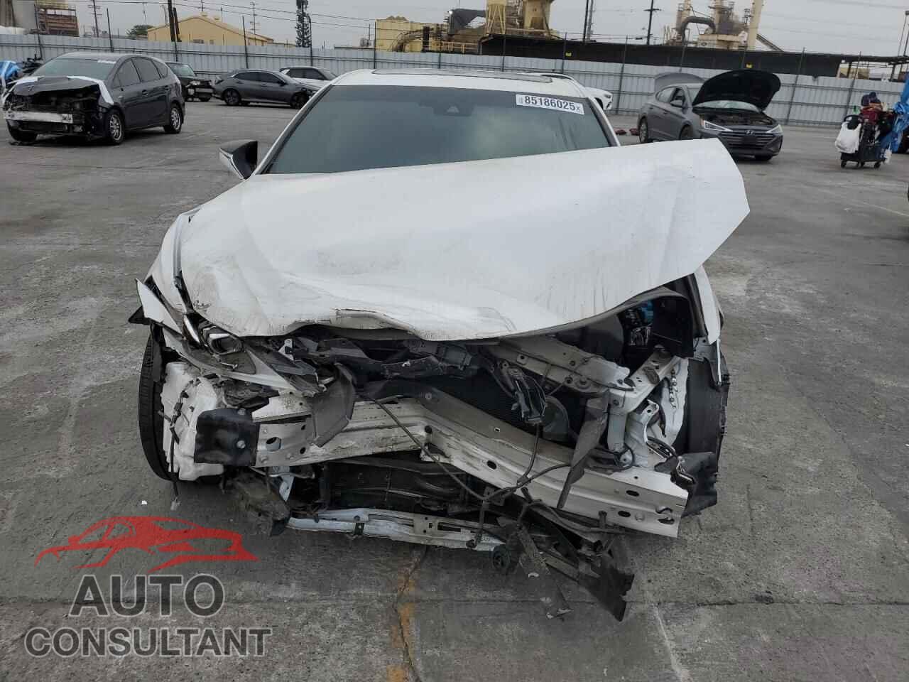 LEXUS ES300 2025 - 58ADA1C19SU065597