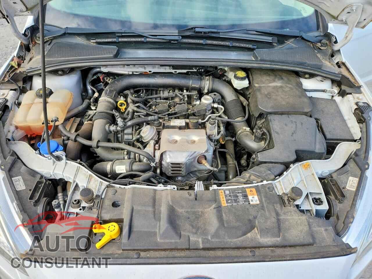 FORD FOCUS 2017 - 1FADP3FE7HL260025
