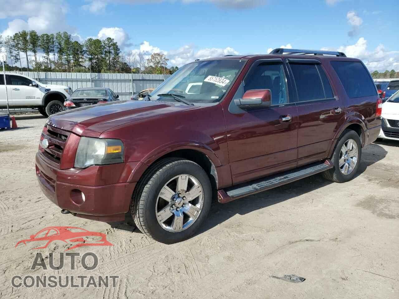 FORD EXPEDITION 2009 - 1FMFU20529LA12874