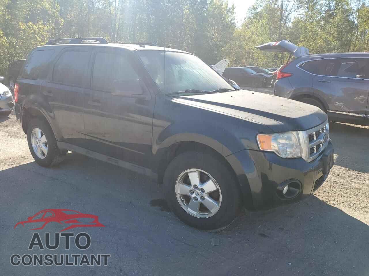 FORD ESCAPE 2010 - 1FMCU9D77AKB73688