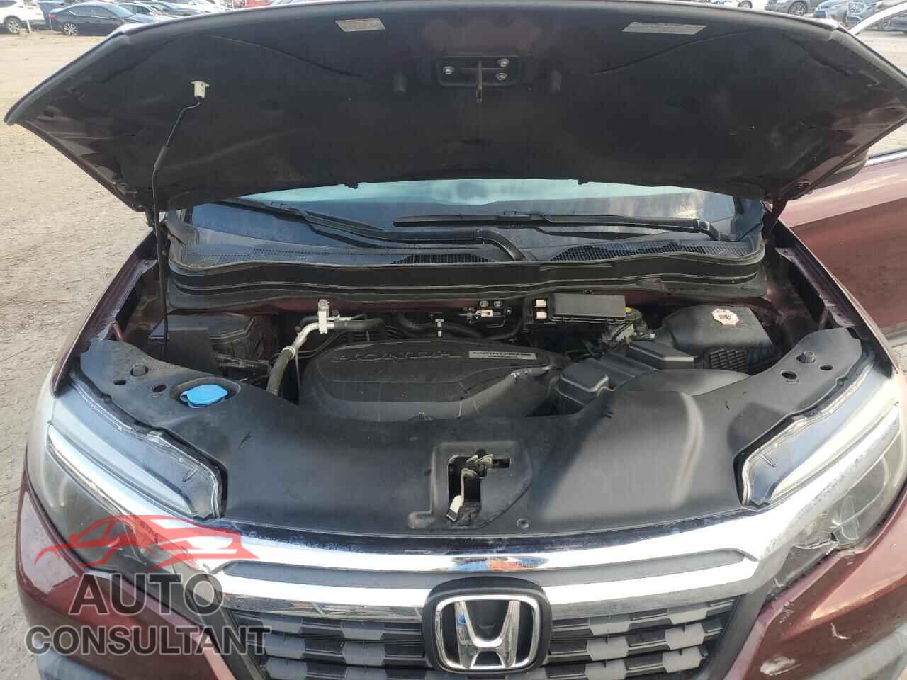 HONDA RIDGELINE 2019 - 5FPYK3F52KB047074