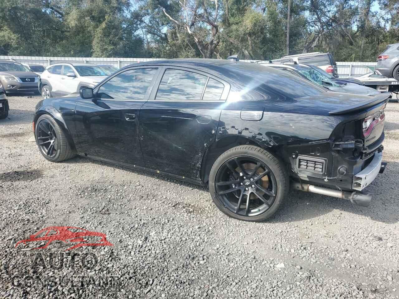 DODGE CHARGER 2023 - 2C3CDXGJ4PH650940