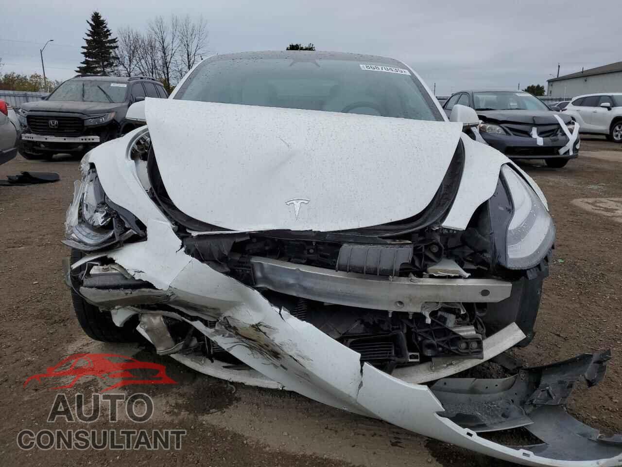 TESLA MODEL 3 2019 - 5YJ3E1EB8KF482042