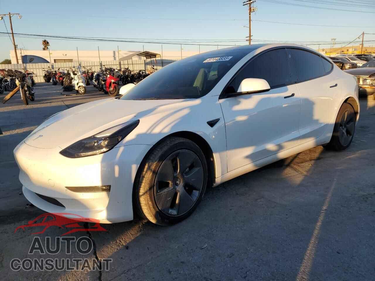 TESLA MODEL 3 2023 - 5YJ3E1EBXPF389742