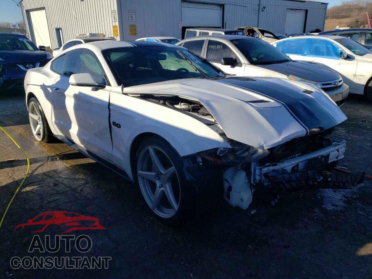 FORD MUSTANG 2019 - 1FA6P8CF3K5115062