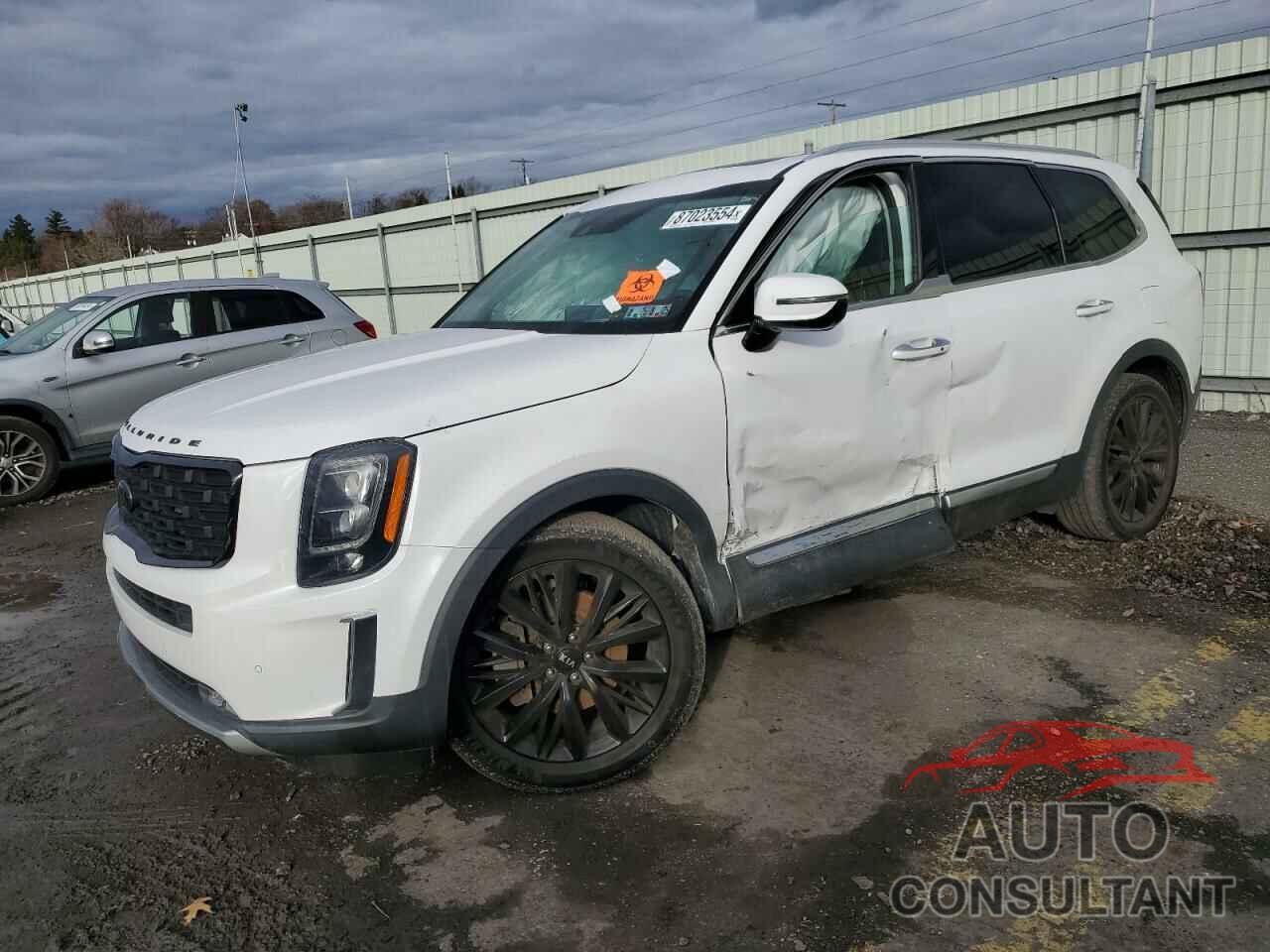 KIA TELLURIDE 2021 - 5XYP5DHC7MG141461