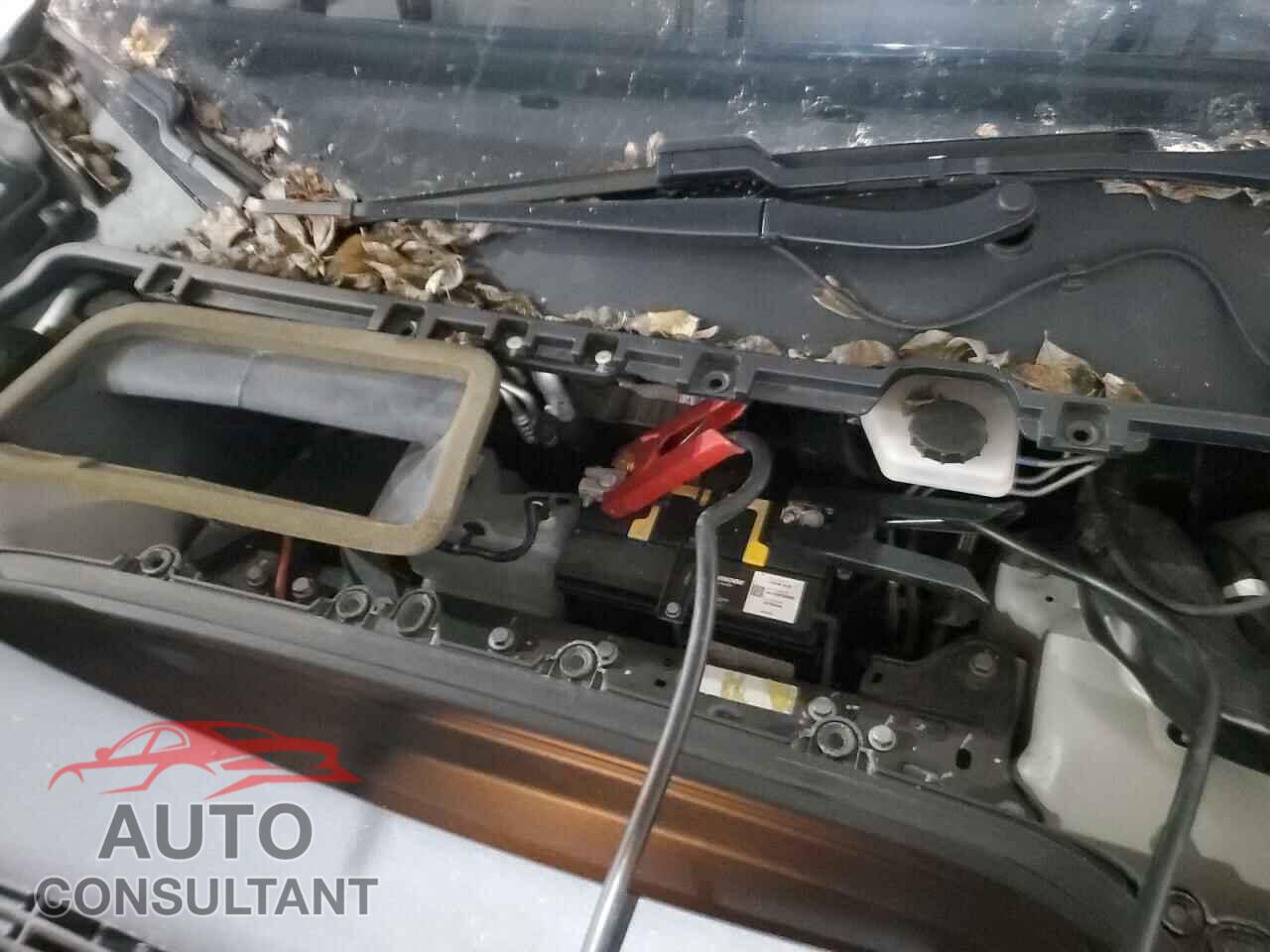 TESLA MODEL Y 2020 - 5YJYGDEEXLF043387