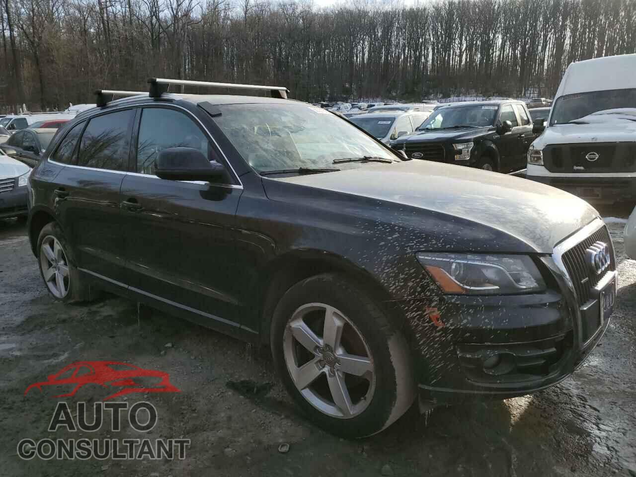 AUDI Q5 2011 - WA1LFAFP8BA045295