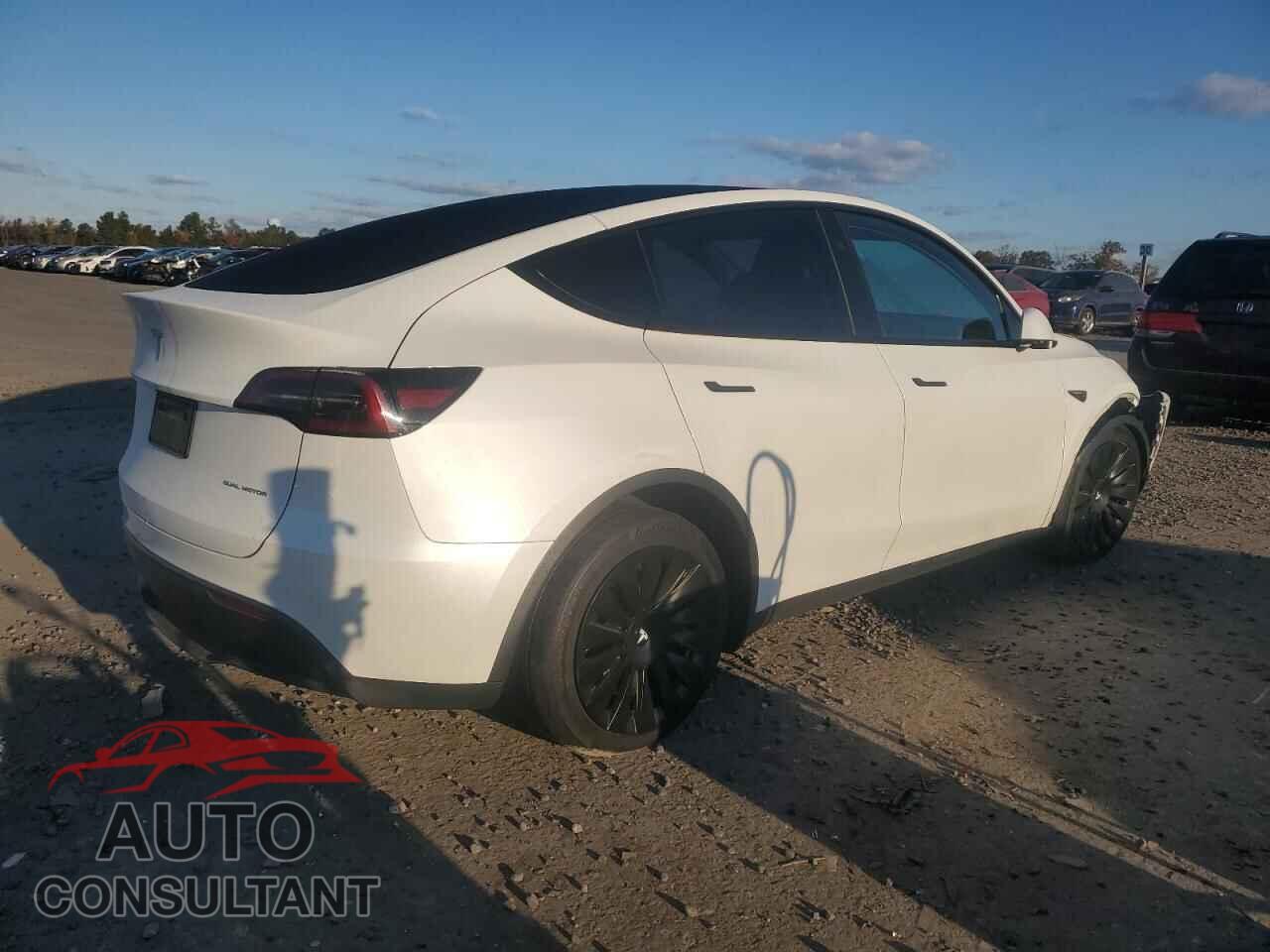 TESLA MODEL Y 2024 - 7SAYGAEE4RF206318