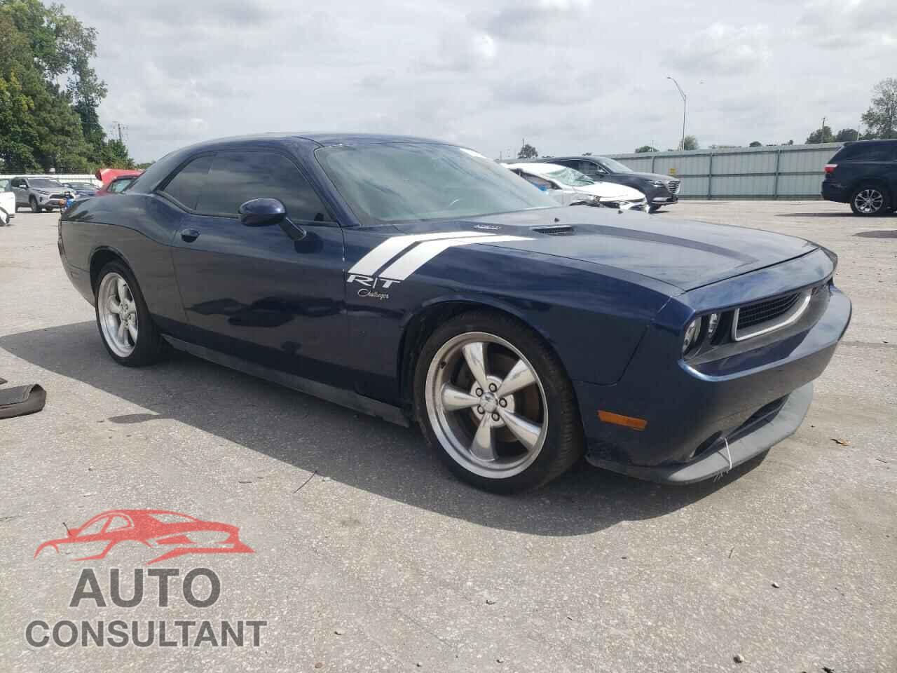 DODGE CHALLENGER 2013 - 2C3CDYBT8DH663376