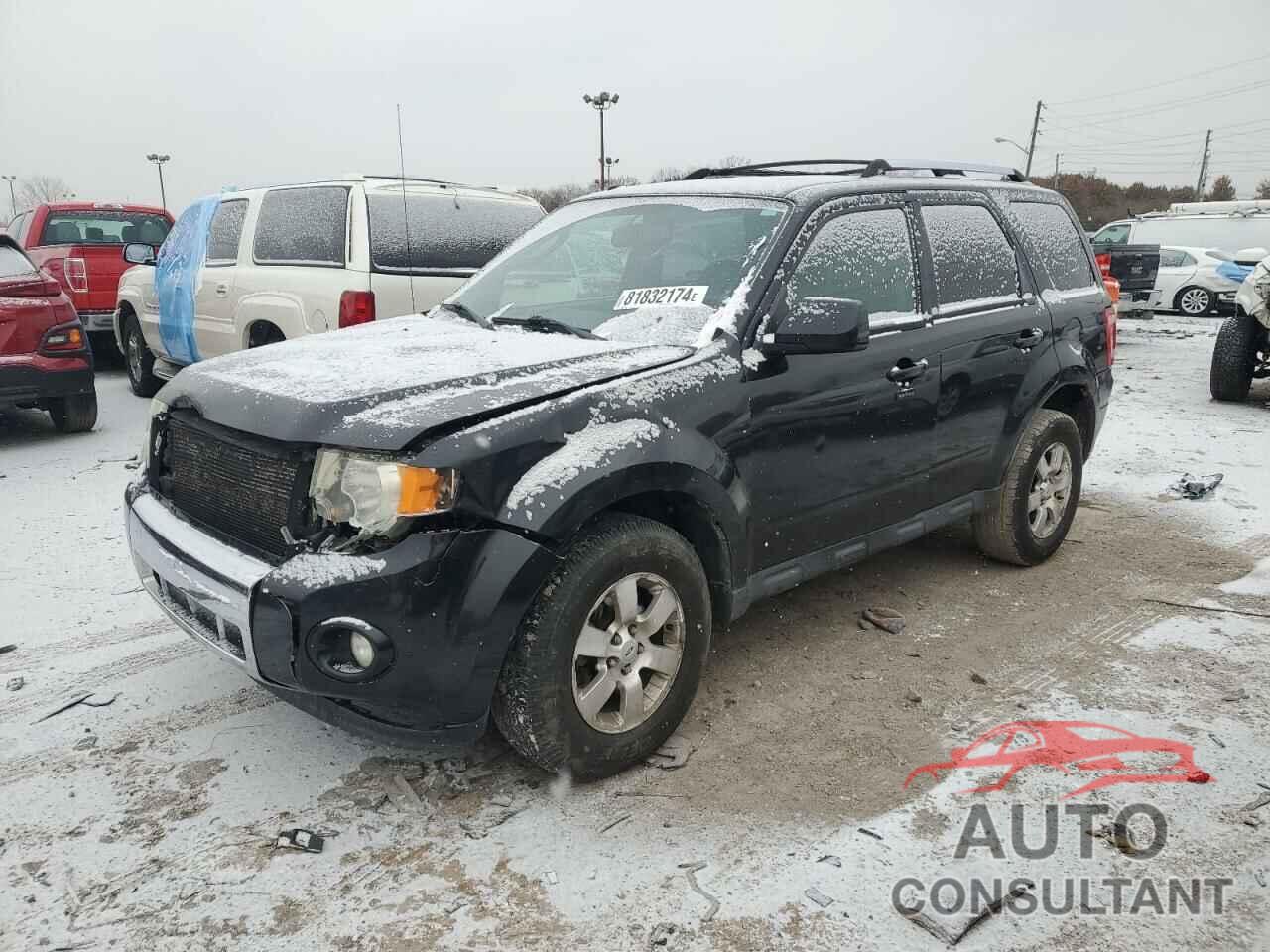 FORD ESCAPE 2011 - 1FMCU0EG7BKC19385