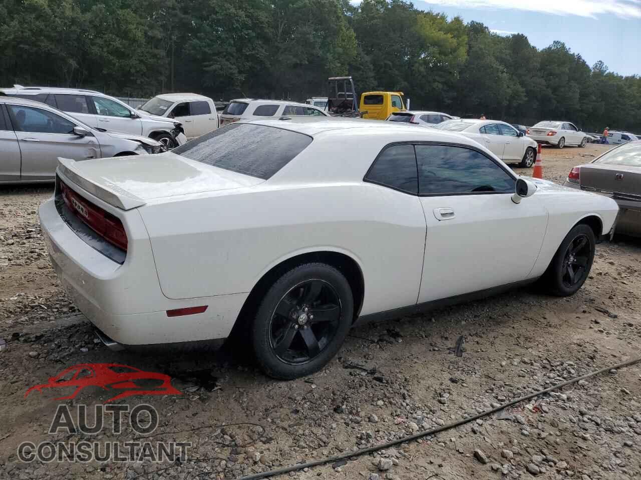 DODGE CHALLENGER 2010 - 2B3CJ5DT9AH244840