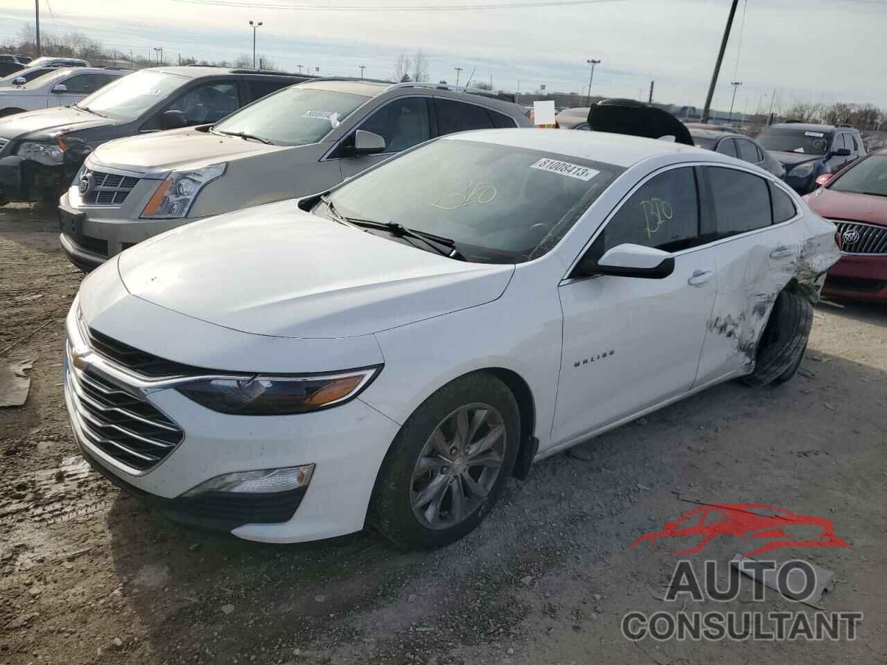 CHEVROLET MALIBU 2019 - 1G1ZD5ST5KF129134