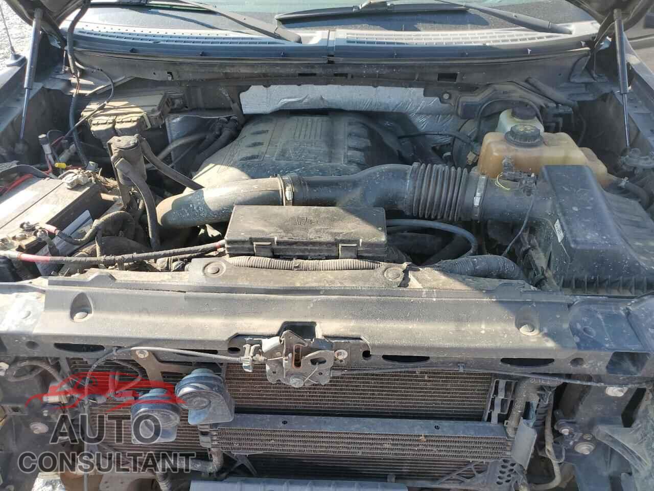 FORD F-150 2013 - 1FTFW1ETXDFA84591