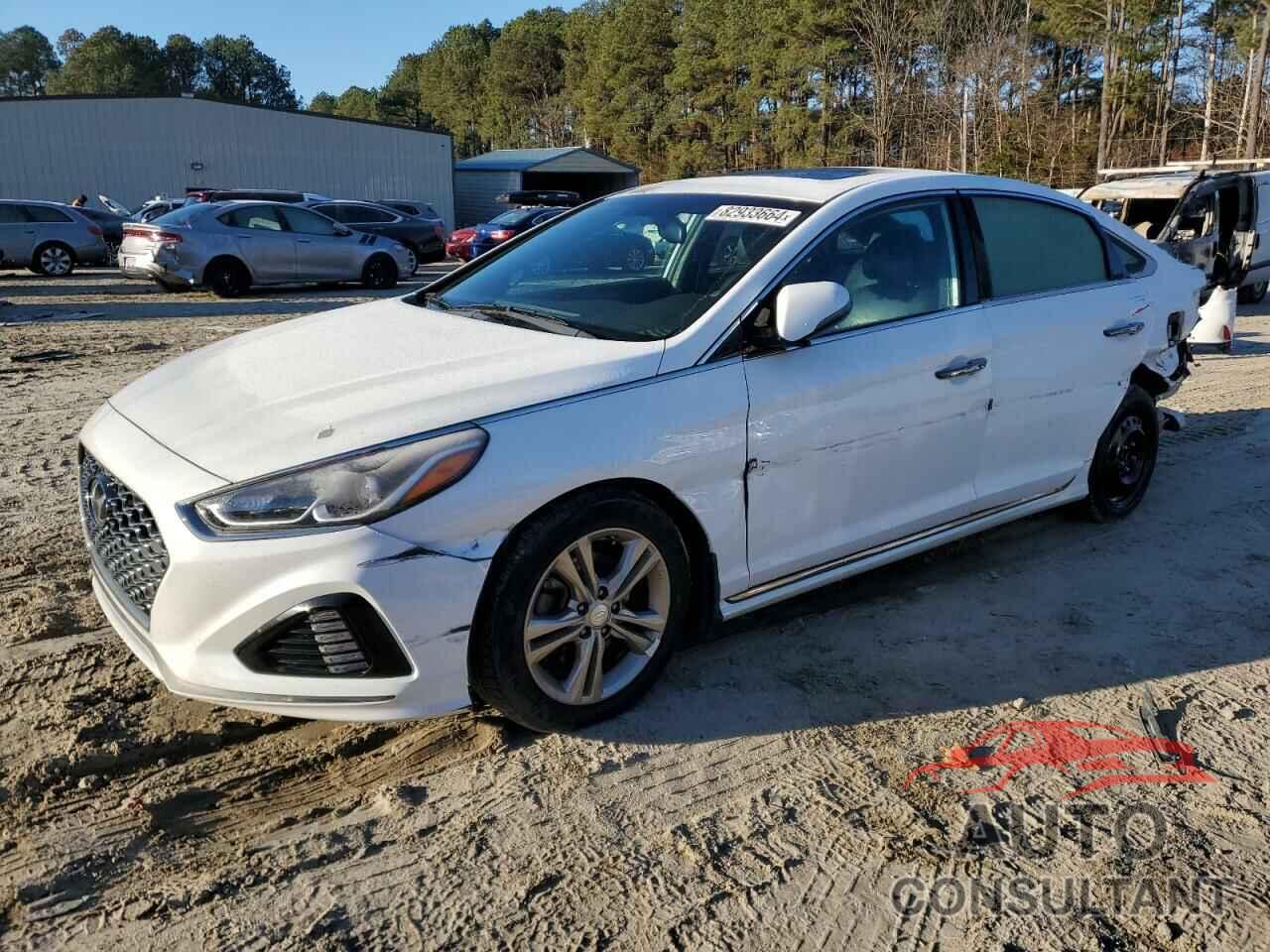 HYUNDAI SONATA 2019 - 5NPE34AF6KH812402