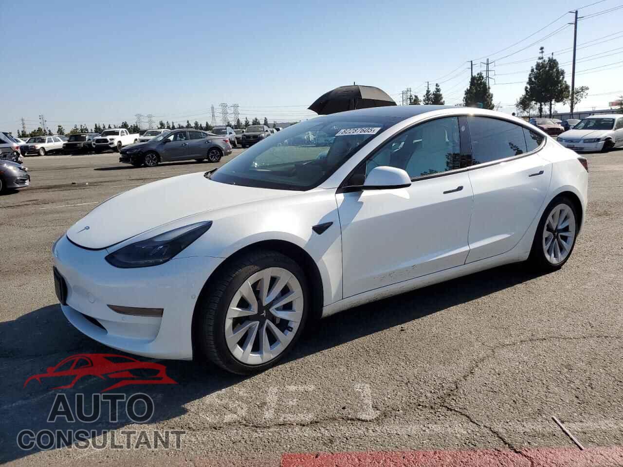 TESLA MODEL 3 2021 - 5YJ3E1EA3MF927832