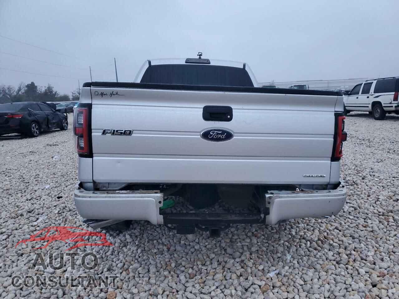 FORD F-150 2013 - 1FTFX1CF7DFD33276
