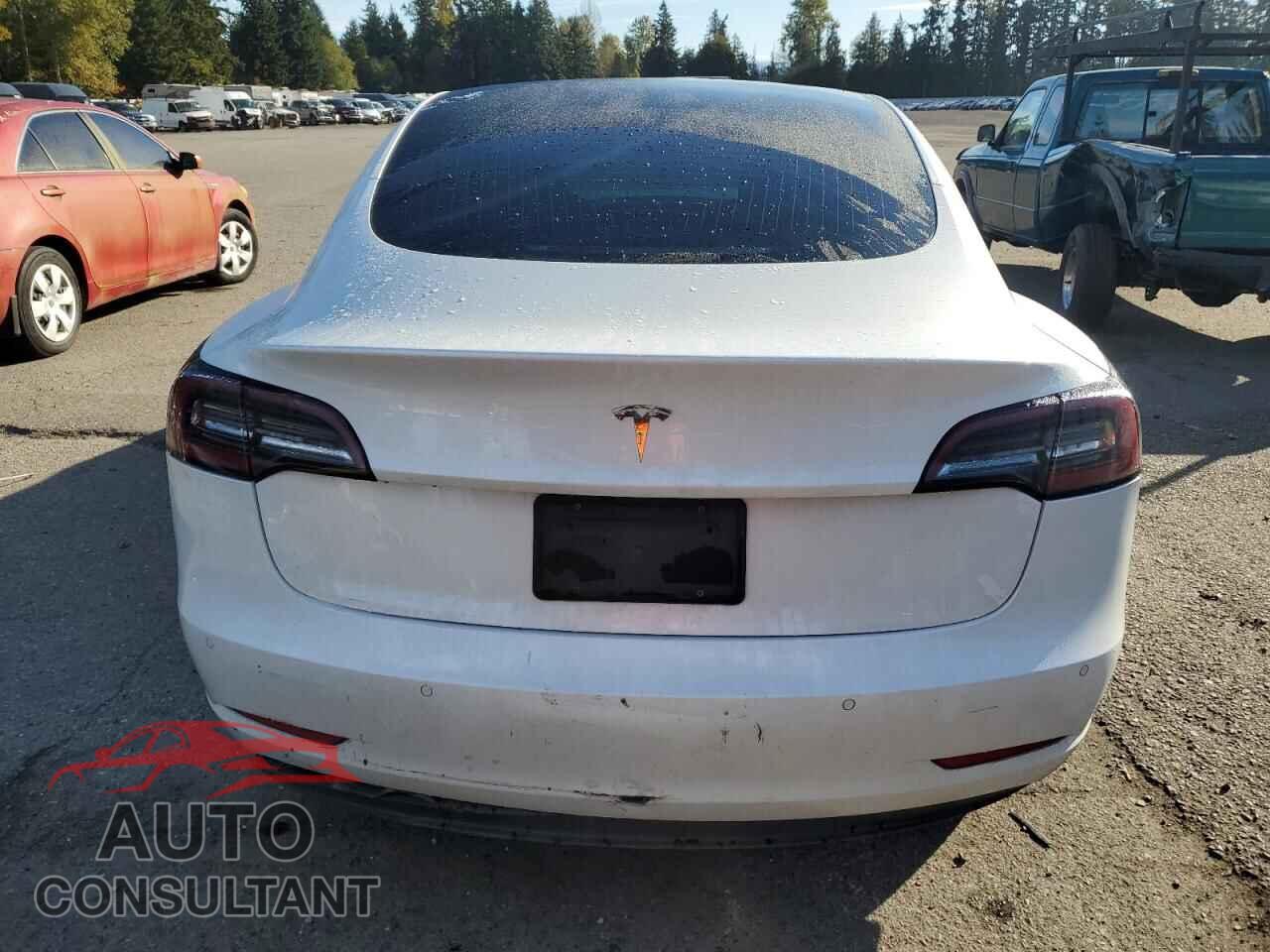 TESLA MODEL 3 2019 - 5YJ3E1EA3KF485843