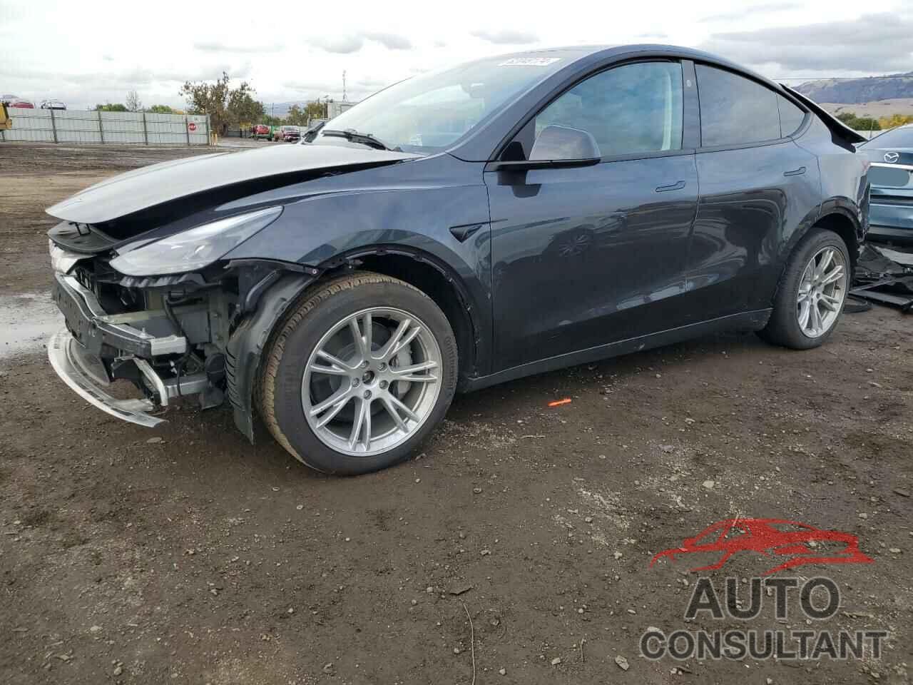 TESLA MODEL Y 2024 - 7SAYGAEE6RF037595