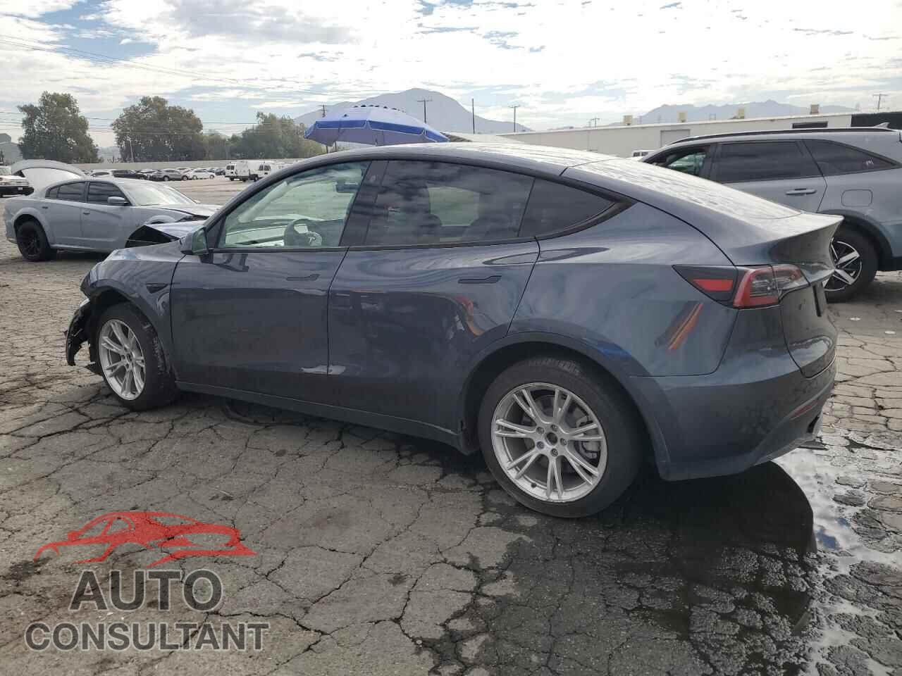 TESLA MODEL Y 2022 - 7SAYGAEEXNF402192