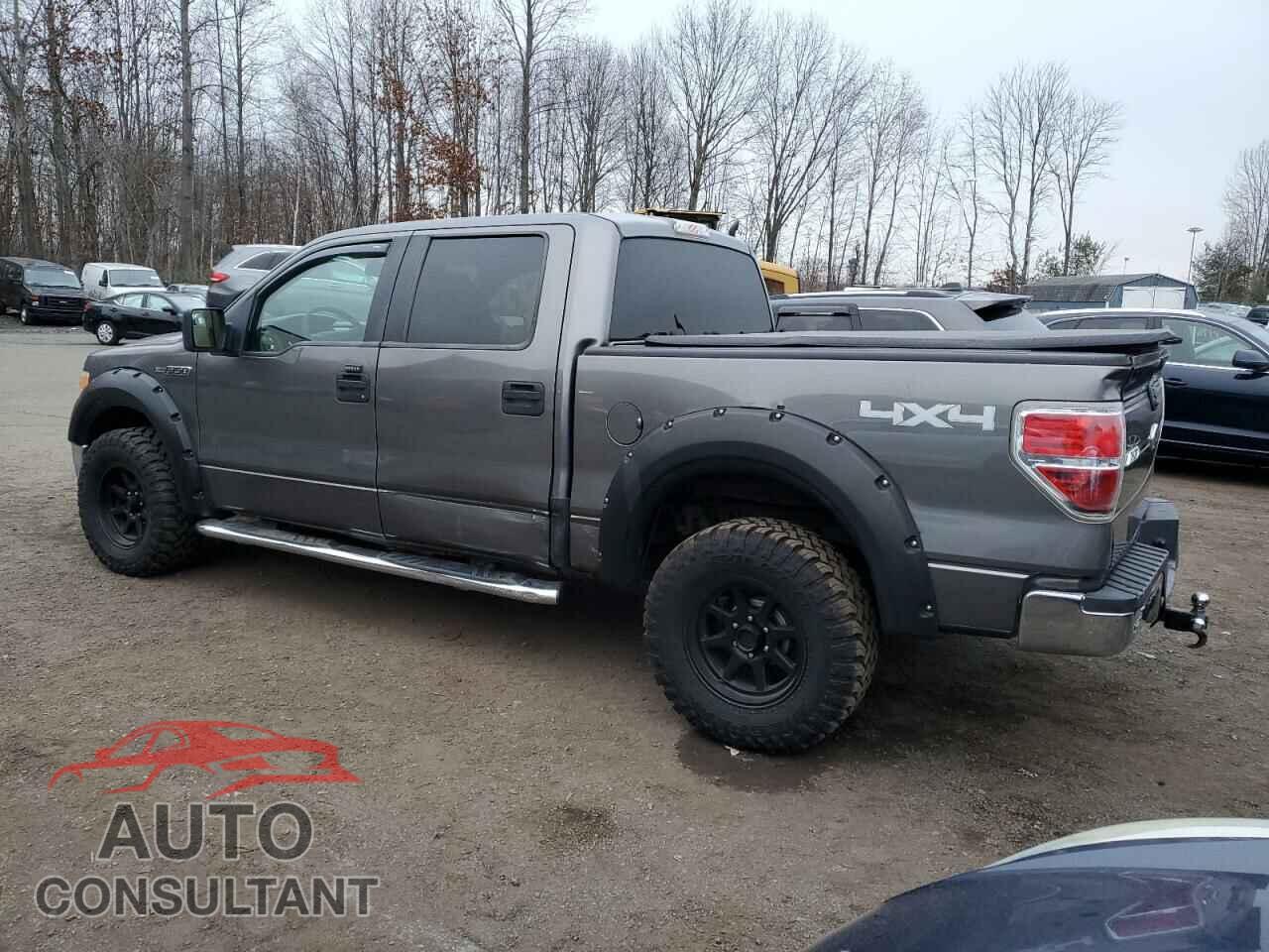 FORD F-150 2010 - 1FTEW1E86AFB26435